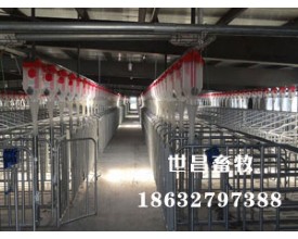母猪产床自动化上料线