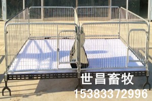 保育床养猪设备