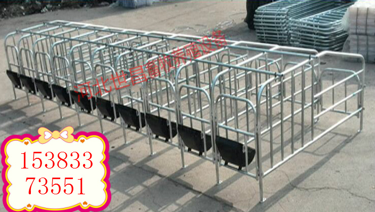 养猪设备定位栏整套限位栏怀孕猪床