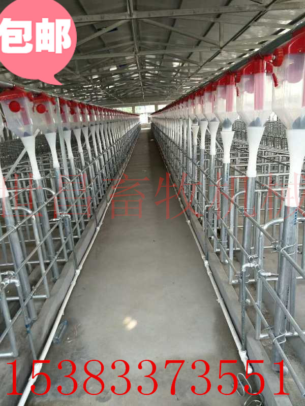 猪场用自动化喂料系统预算