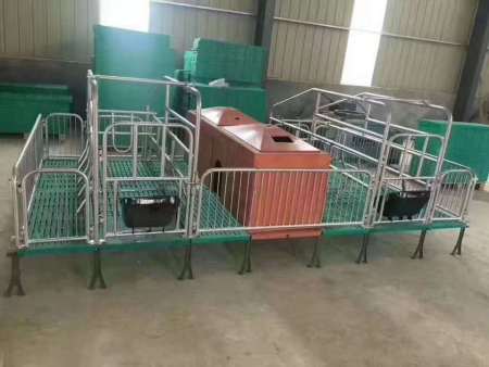 养殖养猪设备器械母猪活动猪床限位栏高床