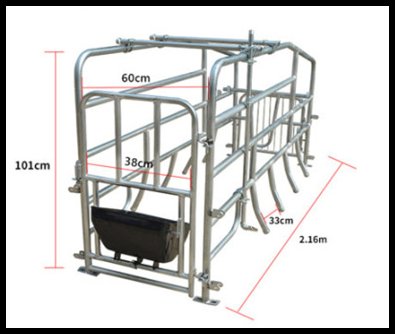 落地式母猪产床图片