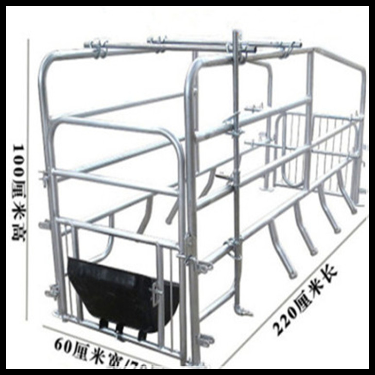 2.2*0.6落地式母猪位